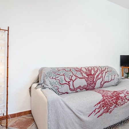 Holiday House Li Piri San Teodoro  Esterno foto